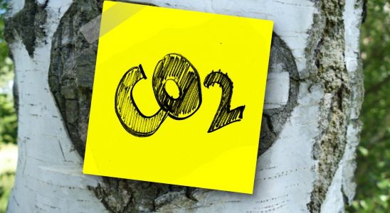 Tout savoir sur le ciment bas carbone